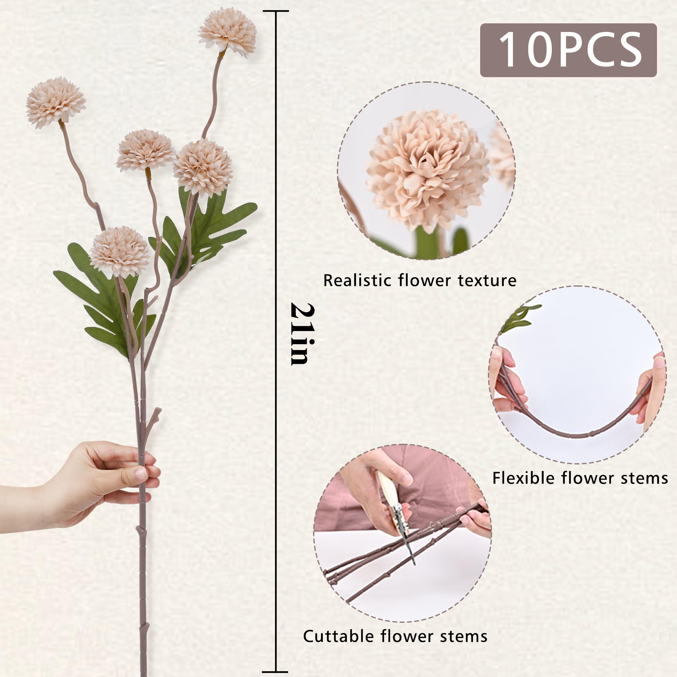 Waipfaru multi-head flower cluster provides abundant blooms without watering.