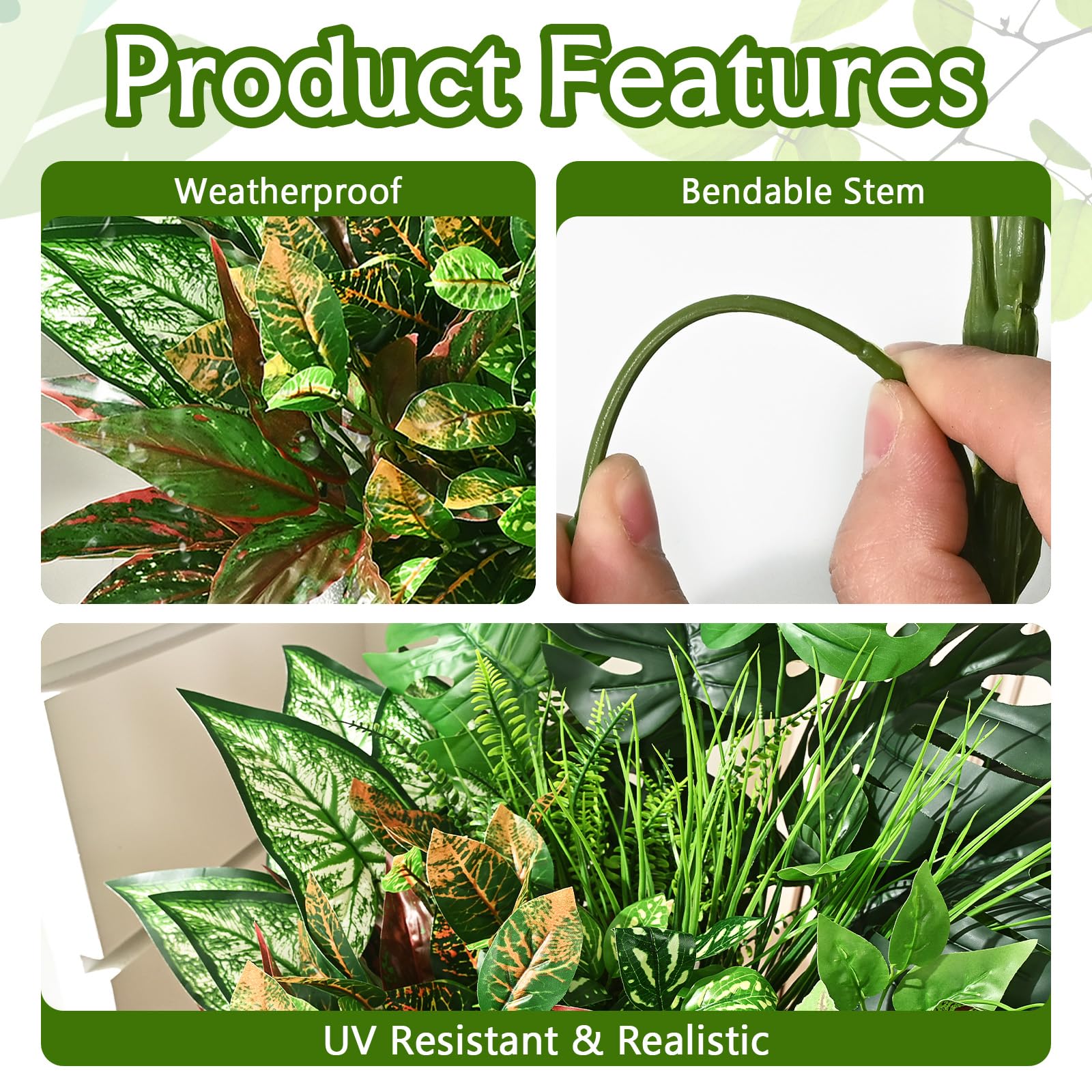 Waipfaru pothos vine versatile greenery for indoors and outdoors