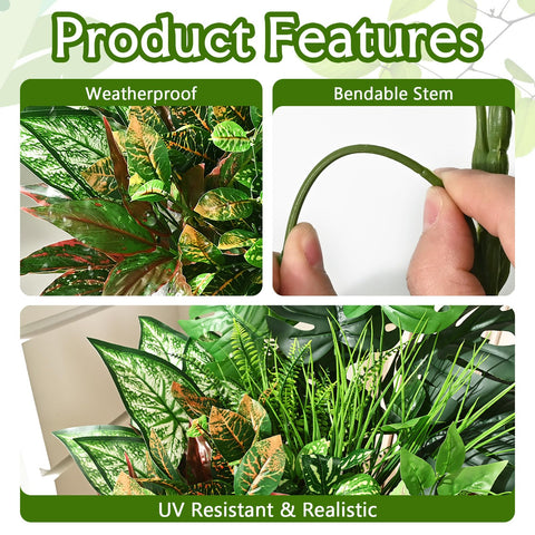 Waipfaru pothos vine versatile greenery for indoors and outdoors