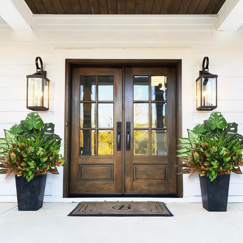 Waipfaru spring grass bright greenery for patios and decks