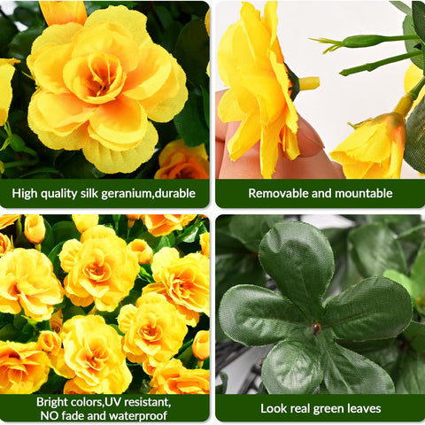 Waipfaru outdoor flowers require no watering or pruning for easy care.