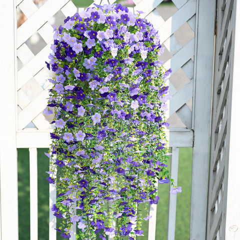 Waipfaru purple hanging flowers brighten garden or porch spaces.