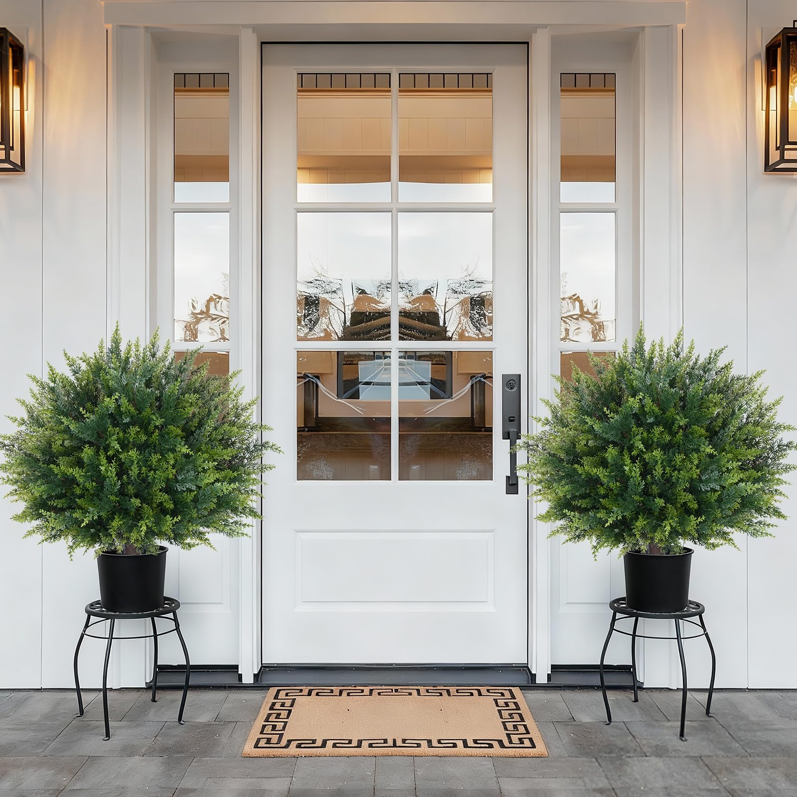 Waipfaru low-maintenance shrubs that never need watering.