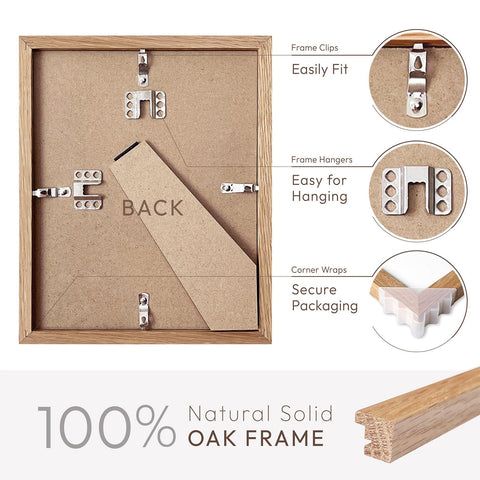 Wallwisy frame features a high-definition plexiglass front for clear viewing.