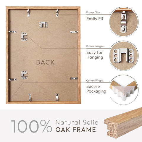 Wallwisy plexiglass front preserves color clarity while staying safer.