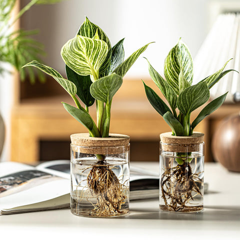wangsdjy desk organizer propagation station adds tidy style to workspace