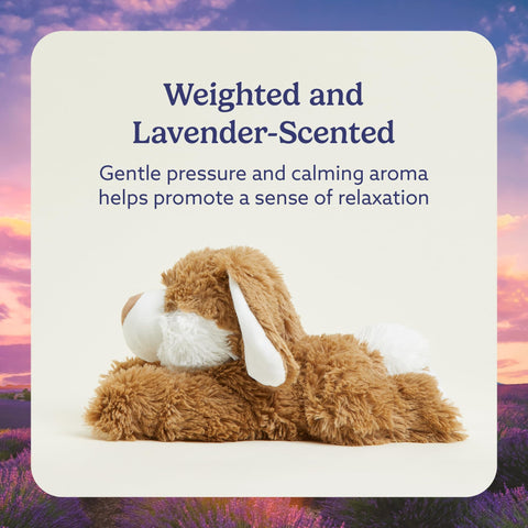 Warmies Brown Bunny cooling relief after heating
