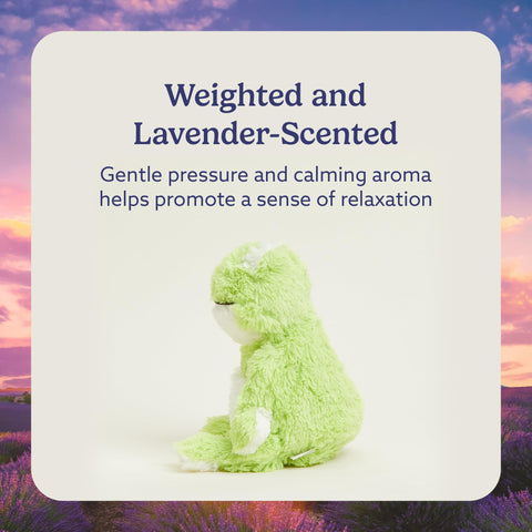 Warmies Frog weighted plush with a cuddly, secure feel.
