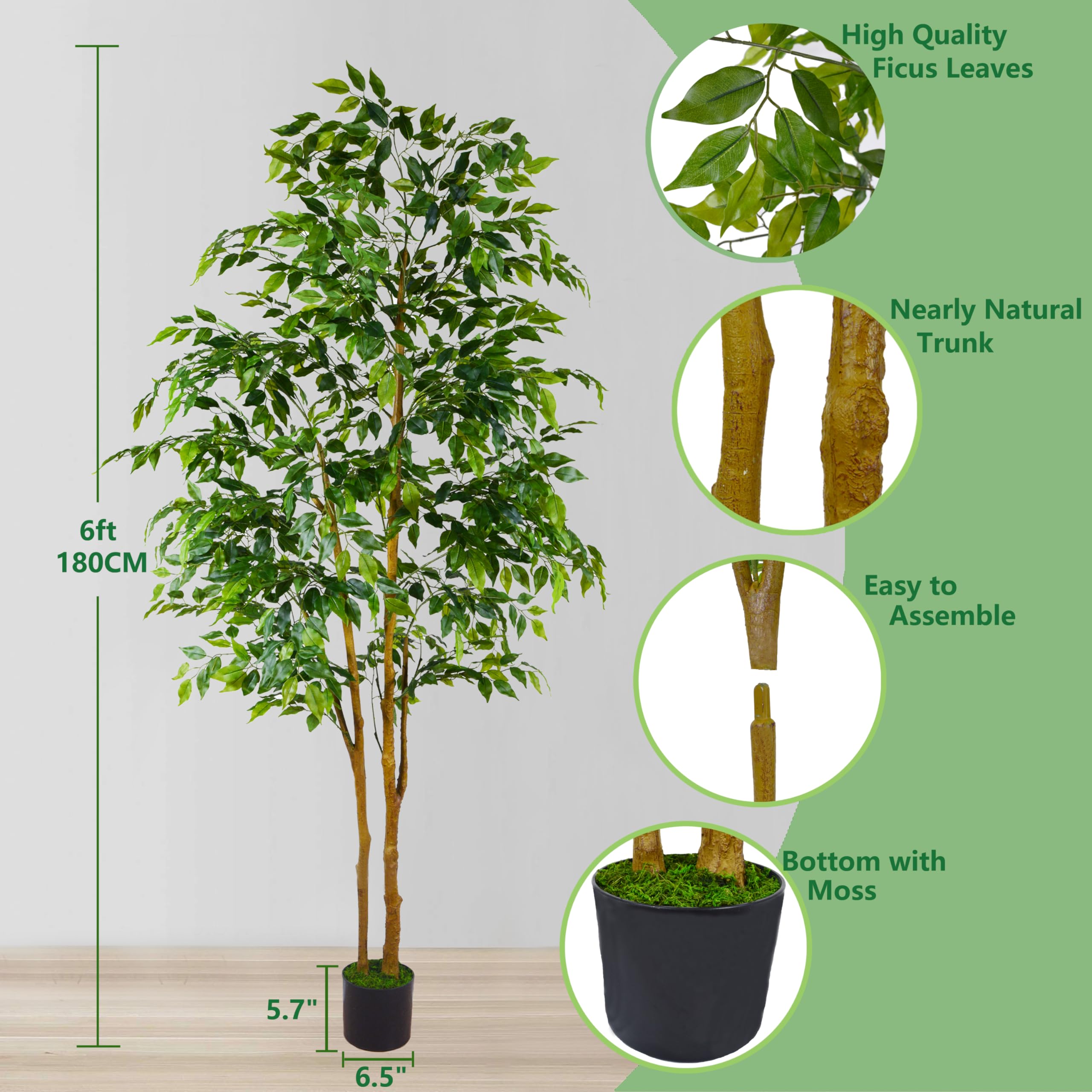 Warmplants ficus leaves close-up shows lifelike texture and maintenance-free greenery.