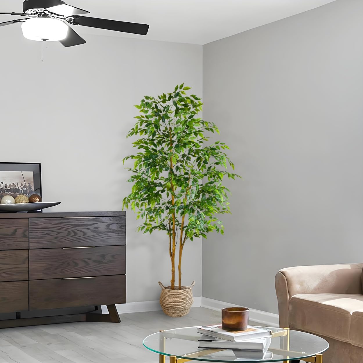 Two-trunk design by Warmplants adds fullness to any room.