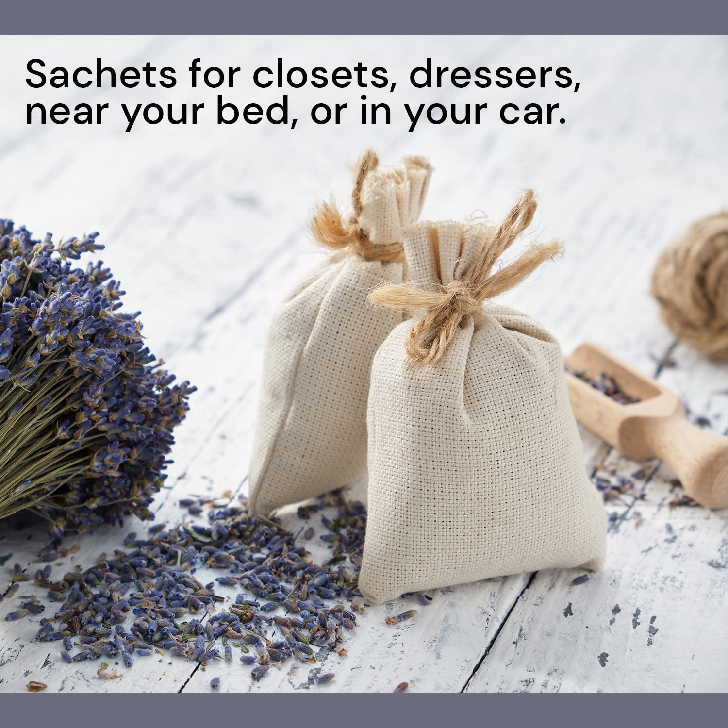 Waterglider International aromatherapy lavender dried blooms for calming atmospheres.