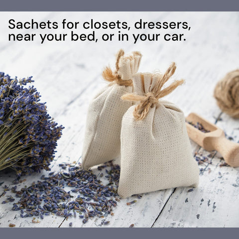 Waterglider International aromatherapy lavender dried blooms for calming atmospheres.