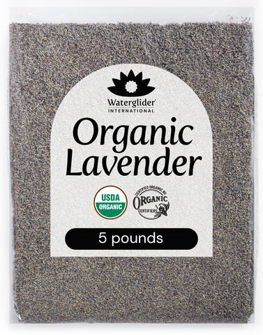 Waterglider International lavender buds in a 5lb box, ideal for baking and culinary infusions.