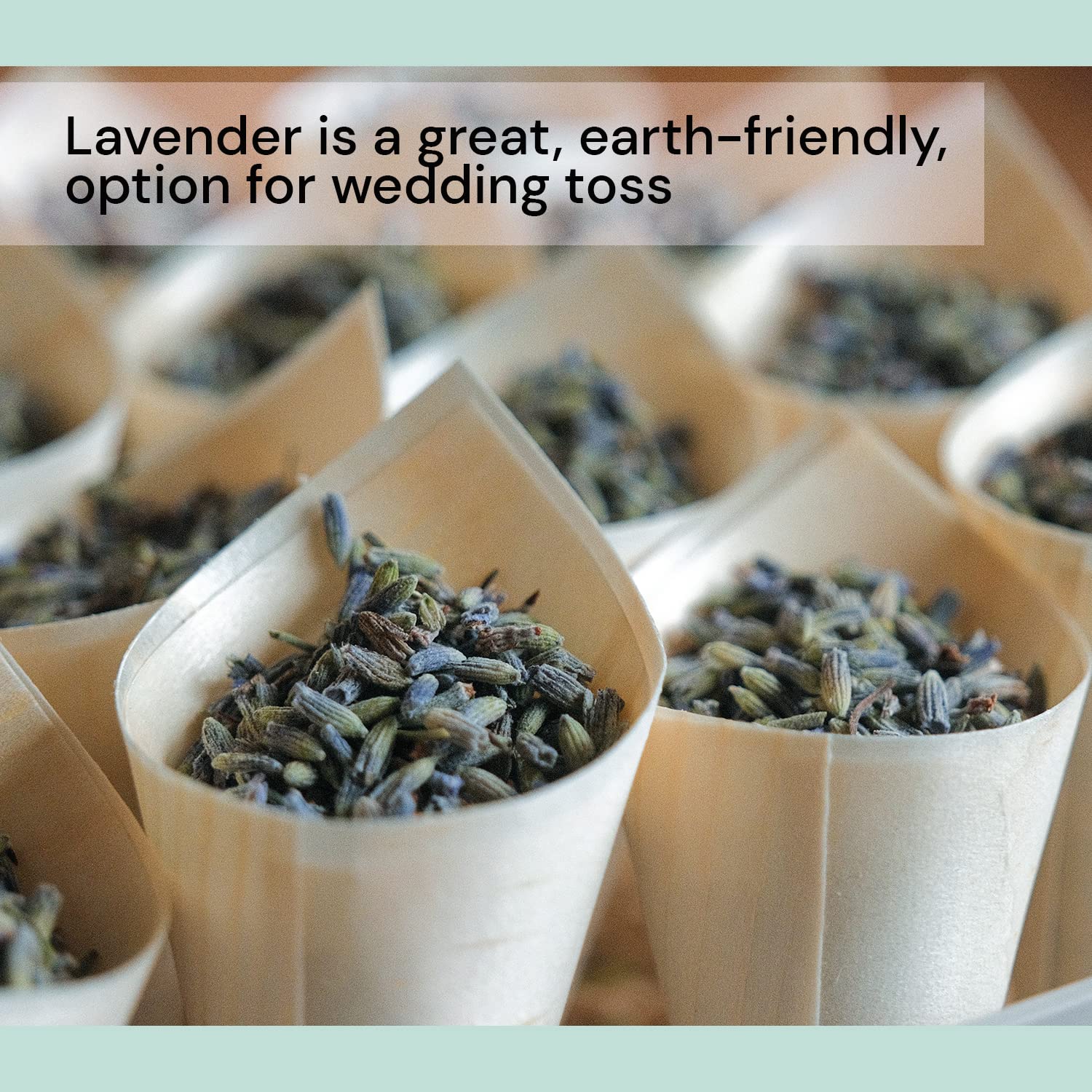 Waterglider International lavender for candles and soaps, enhancing handmade decor.