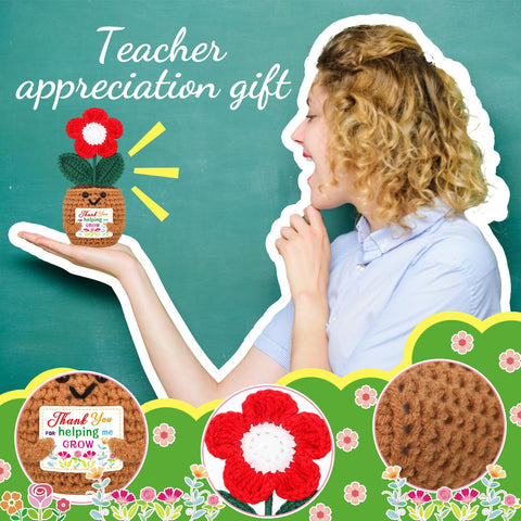 Wavwavw crochet flowers in pot with attached appreciation card