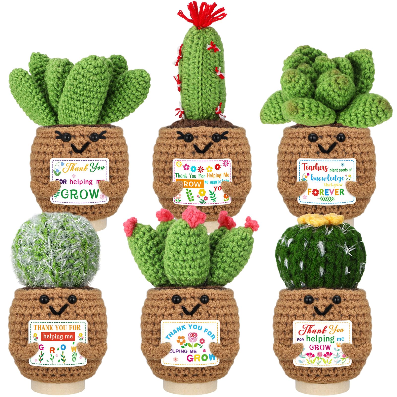 Wavwavw teacher appreciation succulent 6-pack with card for desk display.