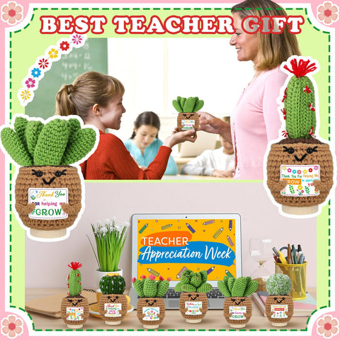 Wavwavw colorful crochet succulents brighten any classroom.