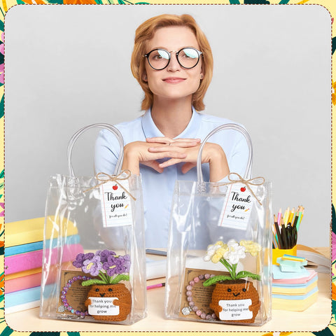 Wavwavw transparent gift bag for organized gifting.