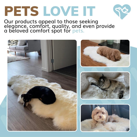 WaySoft plush ivory rug creates safe, cushioned play area for kids.