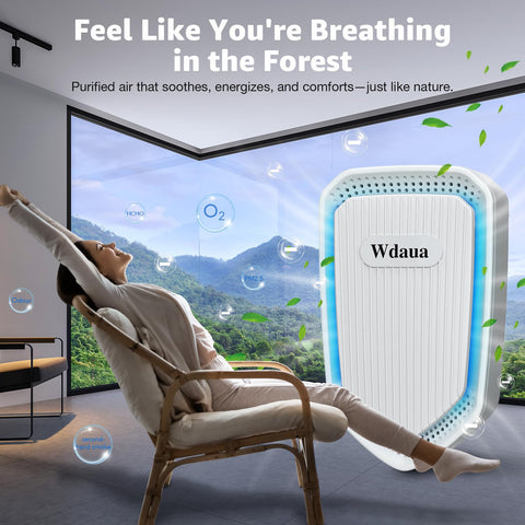 Compact design fits neatly on shelves or desks for discreet air enhancement.