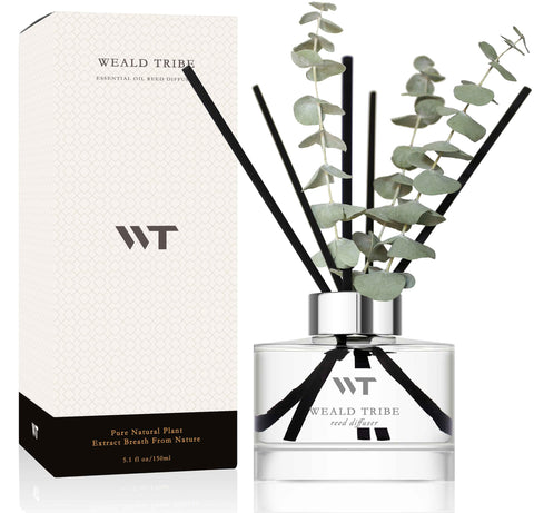 WEALD TRIBE Flower Reed Diffuser Wild Eucalyptus Mint bottle releasing a refreshing, calming scent in a modern living room