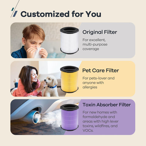 WELOV P200S filter for pet dander helps allergy-prone homes stay cleaner