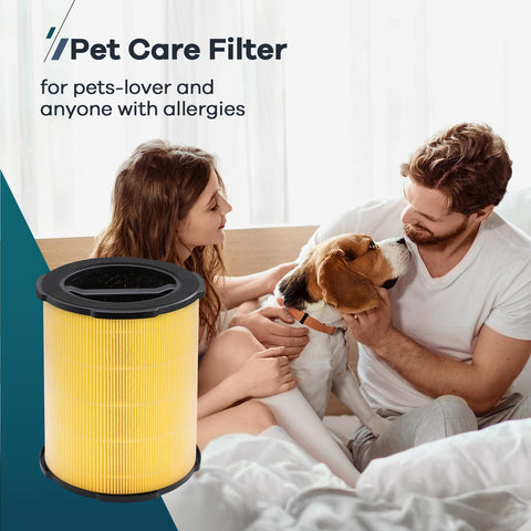 WELOV P200S true HEPA H13 filter enhances purification
