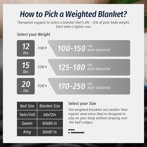 Wemore dual-sided texture image showcases plush warmth options.