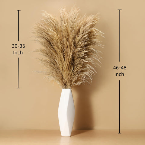 Wertuirk large pampas grass suited for a floor vase in rustic spaces.