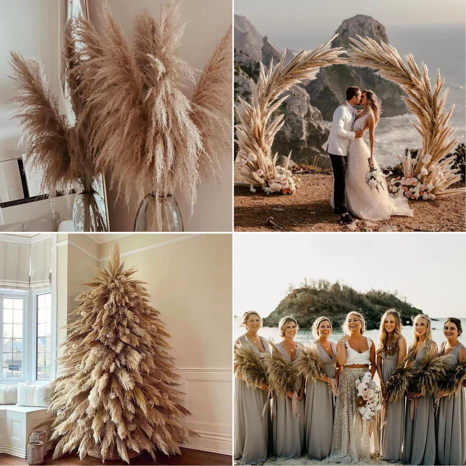 Wertuirk maintenance-free dried pampas grass for long-lasting display.
