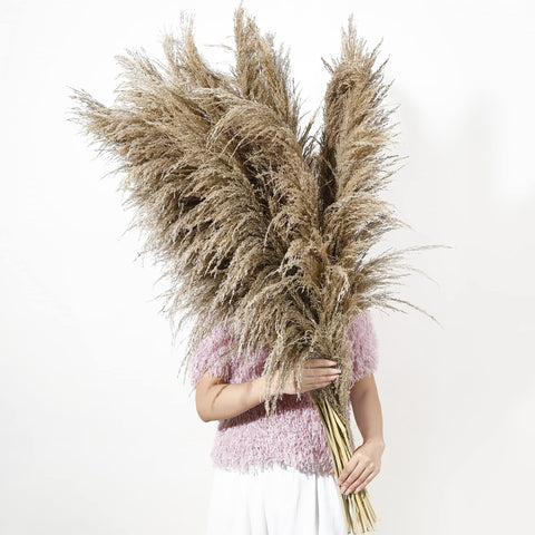 Wertuirk pampas grass 9-stem arrangement for a dramatic floor vase centerpiece.