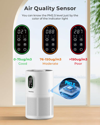 WESTHEY AP02 PM2.5 display shows real-time air quality status