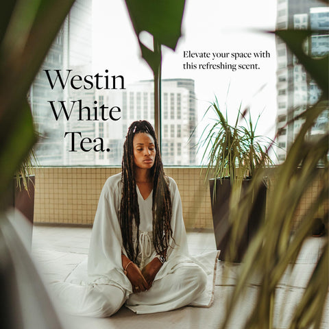 Westin Mini Home Diffuser Refill made in the USA for quality