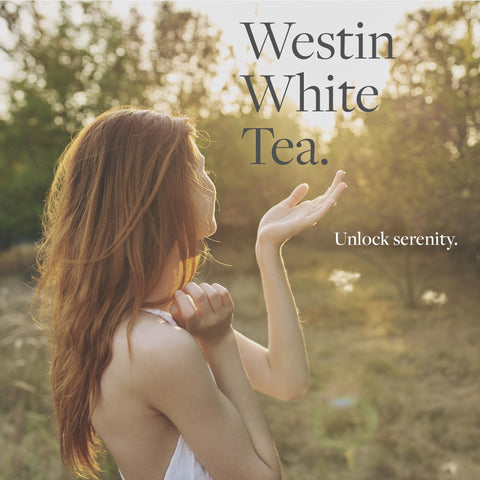 Westin Mini Home Diffuser Refill enhances rooms with white tea aroma
