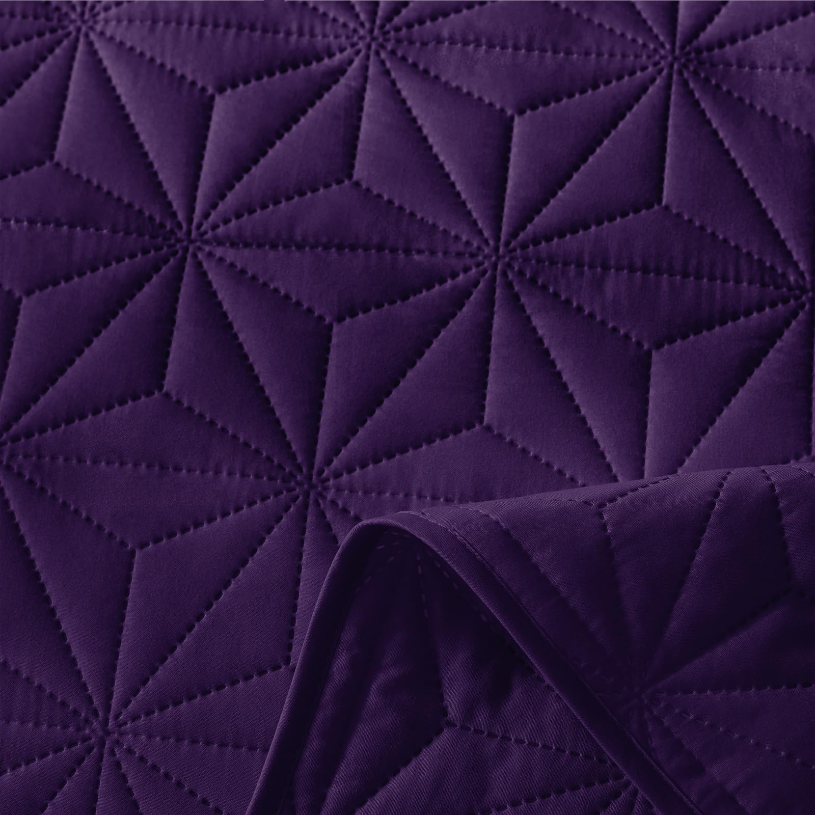 Whale Flotilla color variation under different lighting in soft purple