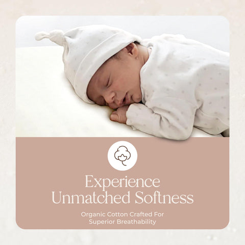 Whisper Organics pillow protector edge piping detail adds structured durability.