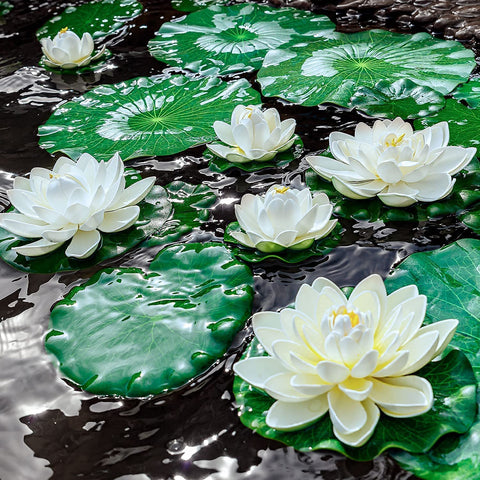 WhistenFla ivory white lotus 4inch floats for compact pond accents.