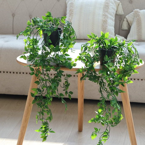 Whonline easy-care plants can be wiped clean for simple maintenance.