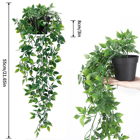 Whonline hanging plants wall decor idea to brighten living spaces without watering.