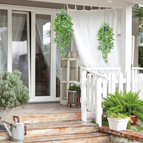 Whonline plants in ventilated area reduce initial odor.