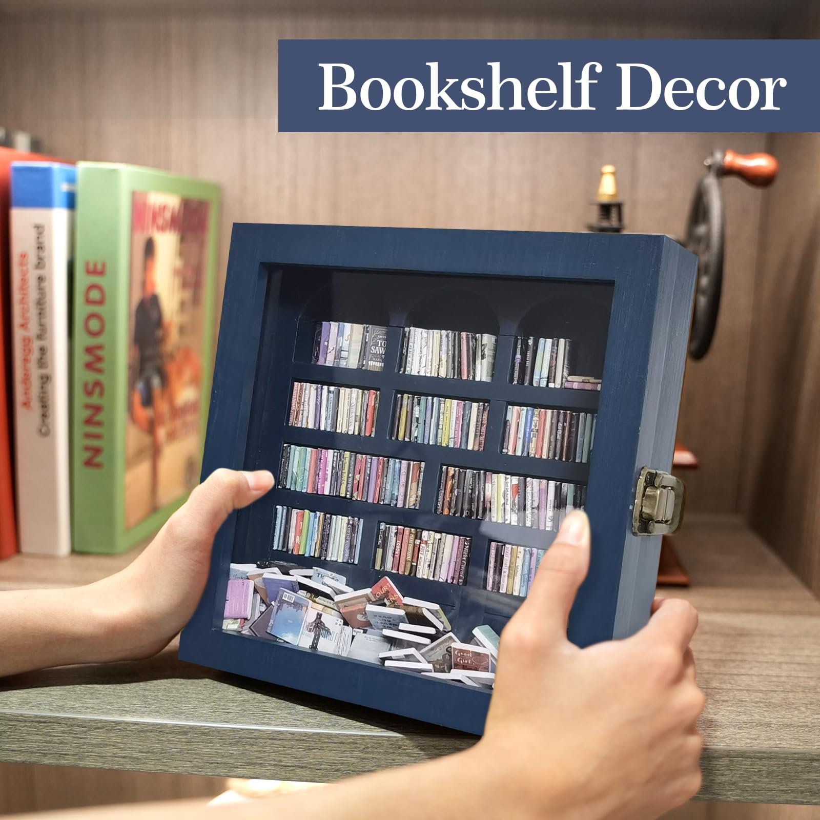 WifePro Anxiety Bookshelf desk setup, perfect home or office decor accent