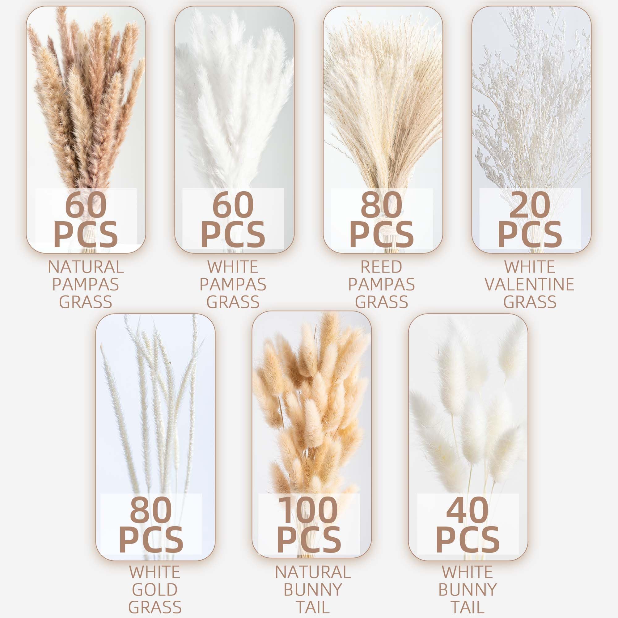 WILD AUTUMN pampas grass in a sunlit living room showcasing natural ambiance