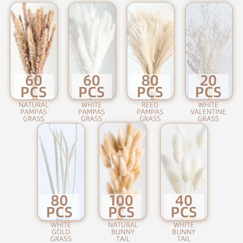 WILD AUTUMN pampas grass in a sunlit living room showcasing natural ambiance
