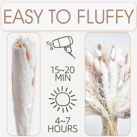 WILD AUTUMN eco-friendly dried flowers ready for year-round styling
