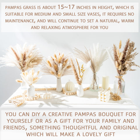 WILD AUTUMN pampas grass arrangement illustrating low-maintenance decor