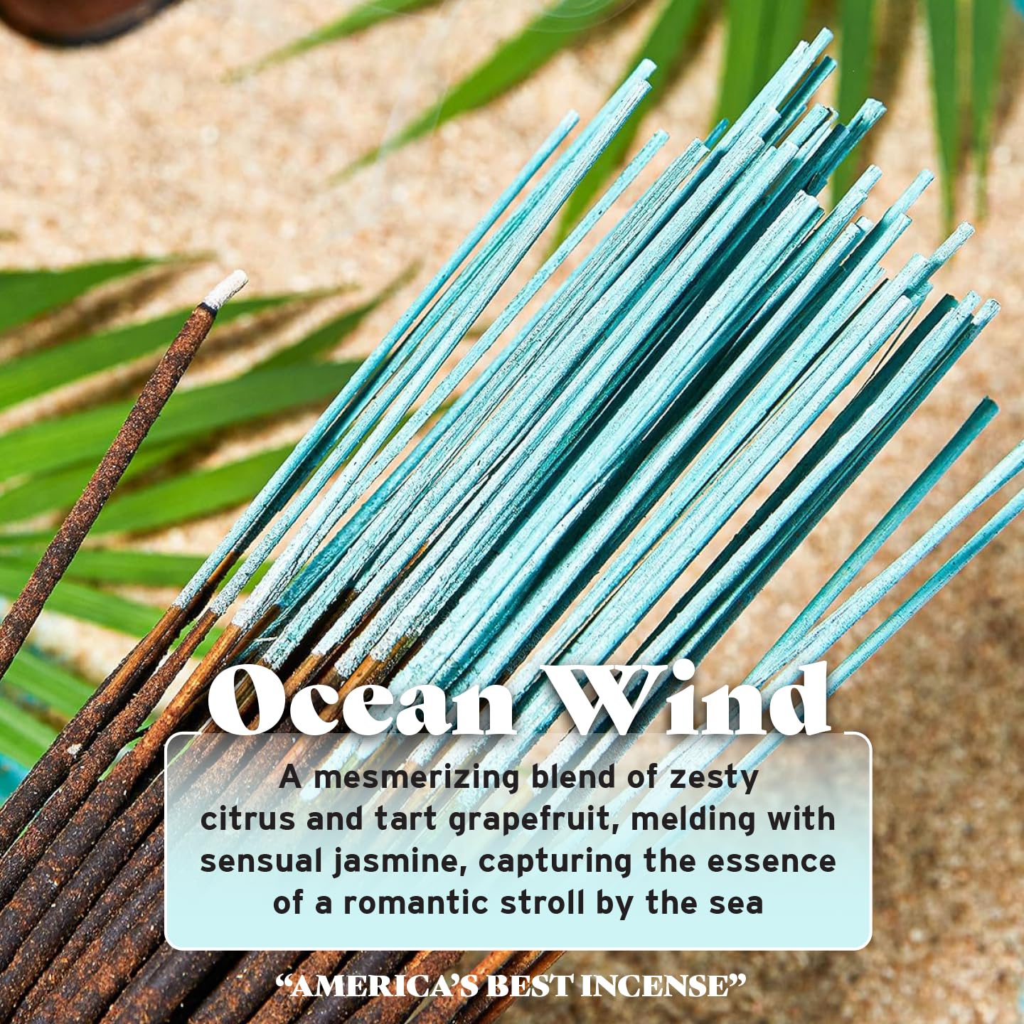 Wild Berry Ocean Wind jasmine notes create a calming atmosphere in any room.