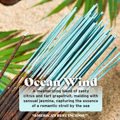 Wild Berry Ocean Wind jasmine notes create a calming atmosphere in any room.
