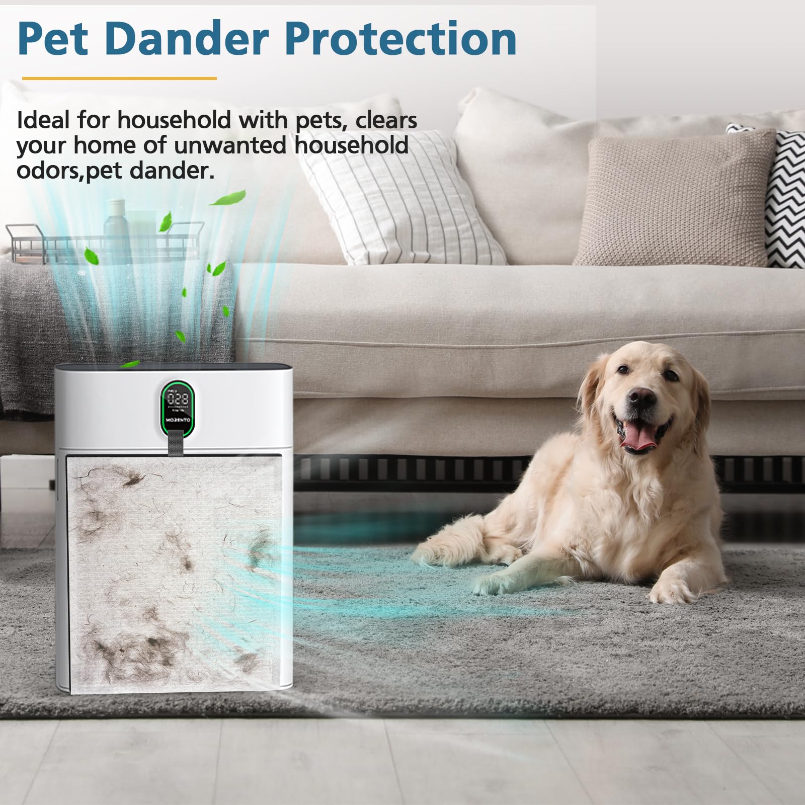 WILERDA HY4866 air-quality improvement supports pet owners and smoke-sensitive spaces