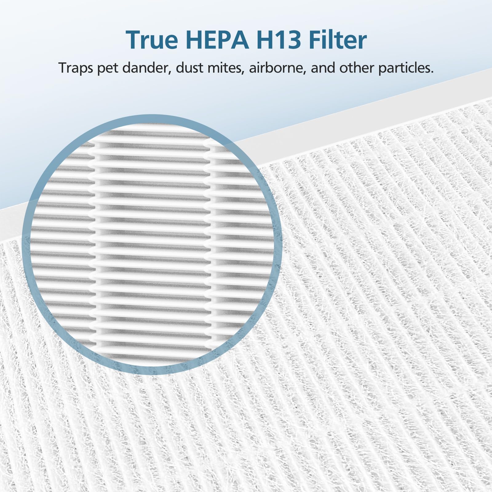 WILERDA True HEPA filter detail for high efficiency in air purification