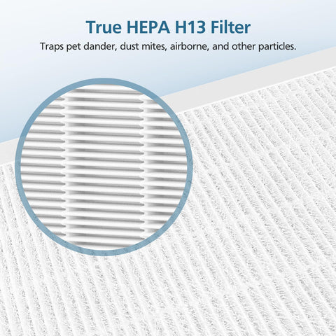 WILERDA True HEPA filter detail for high efficiency in air purification